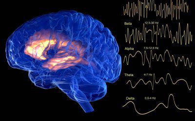 Normal aging verses Alzheimer’s Disease
